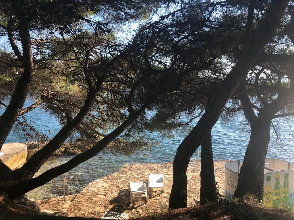 Apartment Franko Porec